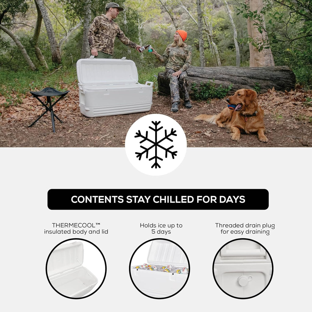 Hard Cooler | Polar & Party Bar Series | Insulated Ice Chests